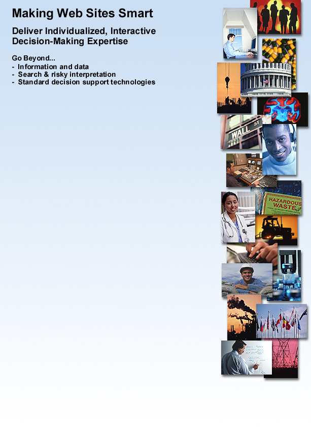 Deliver Individualized, Interactive Top-Level Decision-Making Expertise